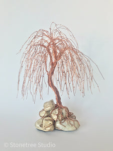 copper weeping willow tree
