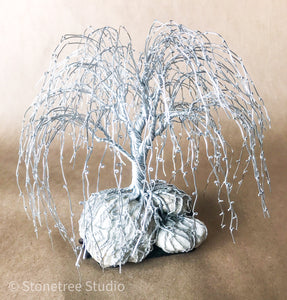 small silver willow on stone